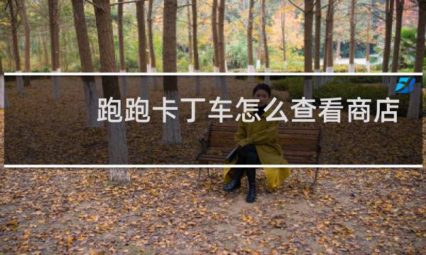 跑跑卡丁车怎么查看商店