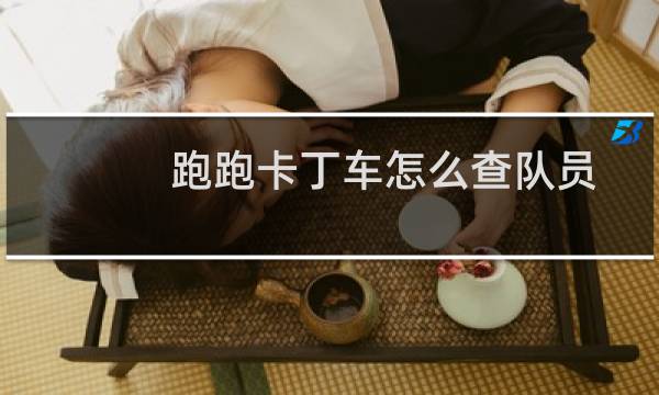 跑跑卡丁车怎么查队员