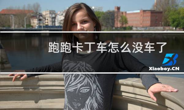 跑跑卡丁车怎么没车了