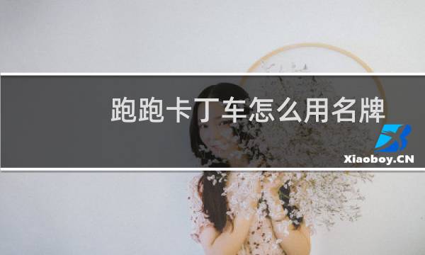 跑跑卡丁车怎么用名牌