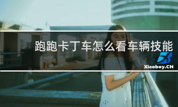 跑跑卡丁车怎么看车辆技能