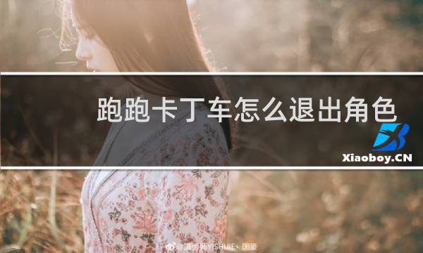 跑跑卡丁车怎么退出角色