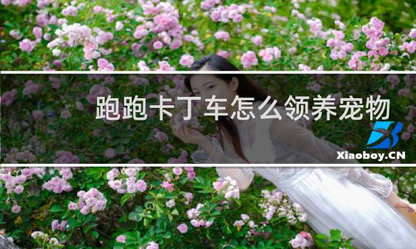 跑跑卡丁车怎么领养宠物