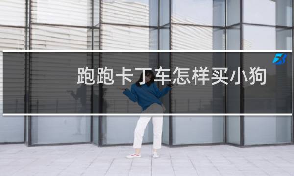 跑跑卡丁车怎样买小狗