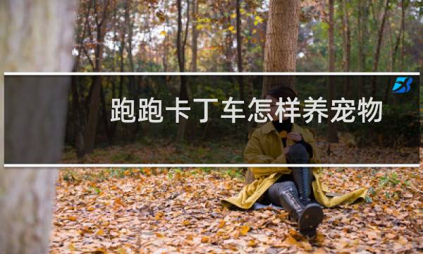 跑跑卡丁车怎样养宠物