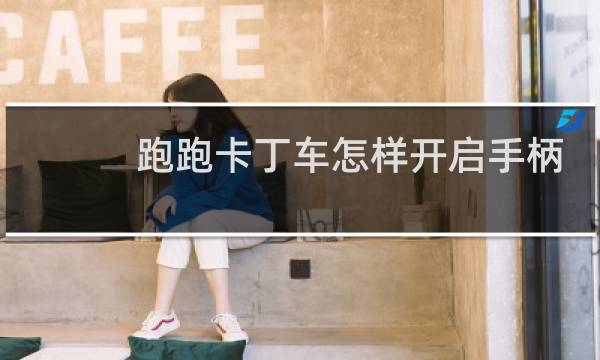 跑跑卡丁车怎样开启手柄