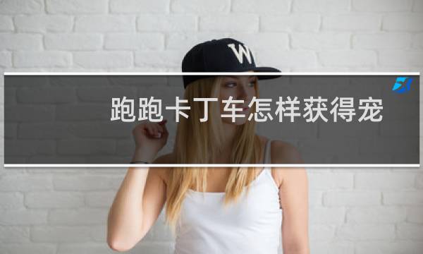跑跑卡丁车怎样获得宠