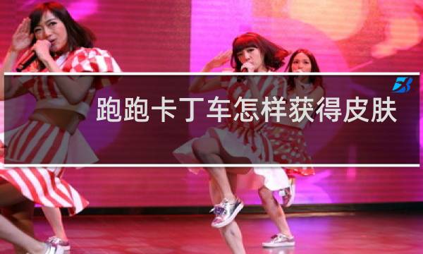 跑跑卡丁车怎样获得皮肤