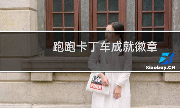 跑跑卡丁车成就徽章