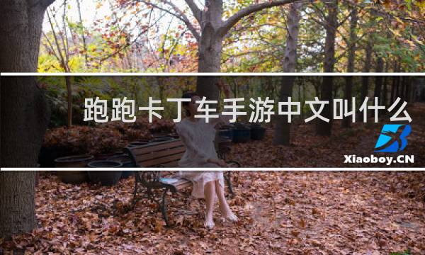 跑跑卡丁车手游中文叫什么