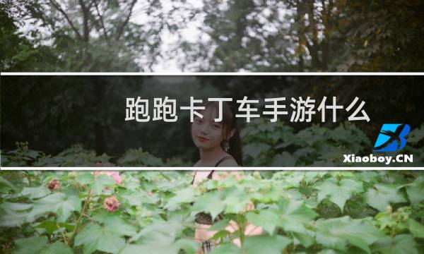 跑跑卡丁车手游什么
