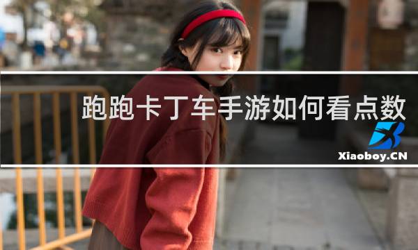 跑跑卡丁车手游如何看点数