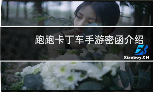 跑跑卡丁车手游密函介绍