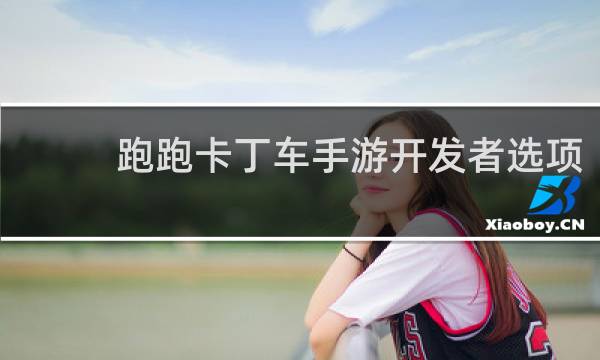 跑跑卡丁车手游开发者选项