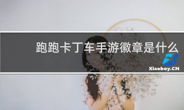 跑跑卡丁车手游徽章是什么