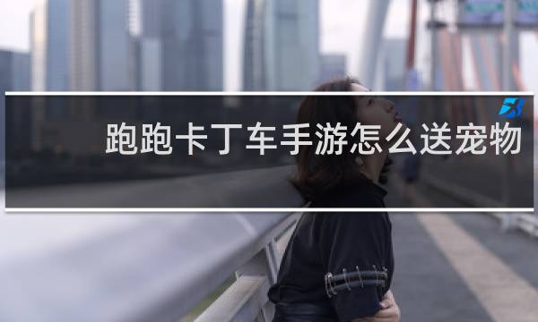 跑跑卡丁车手游怎么送宠物