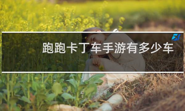 跑跑卡丁车手游有多少车
