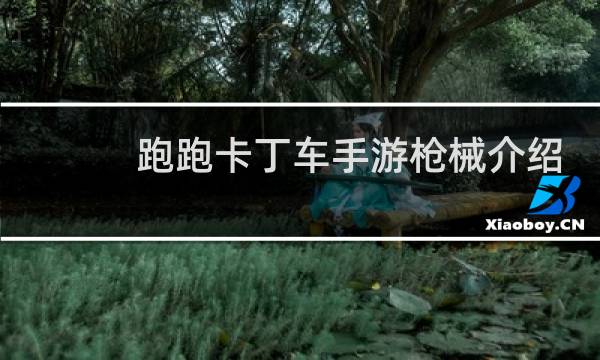 跑跑卡丁车手游枪械介绍