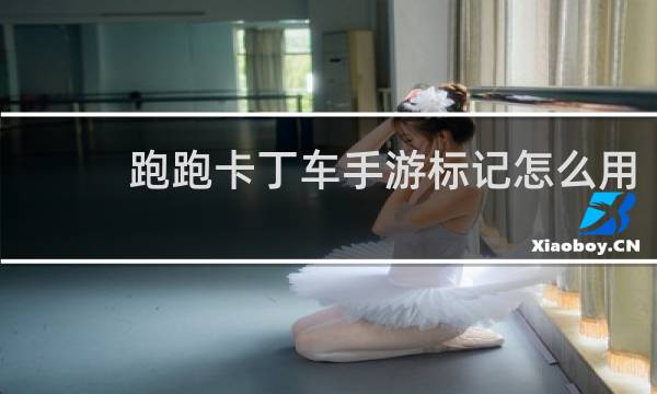 跑跑卡丁车手游标记怎么用