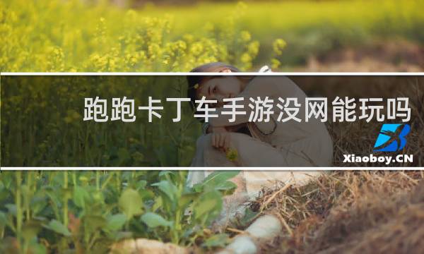 跑跑卡丁车手游没网能玩吗