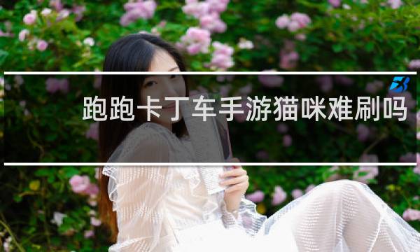 跑跑卡丁车手游猫咪难刷吗