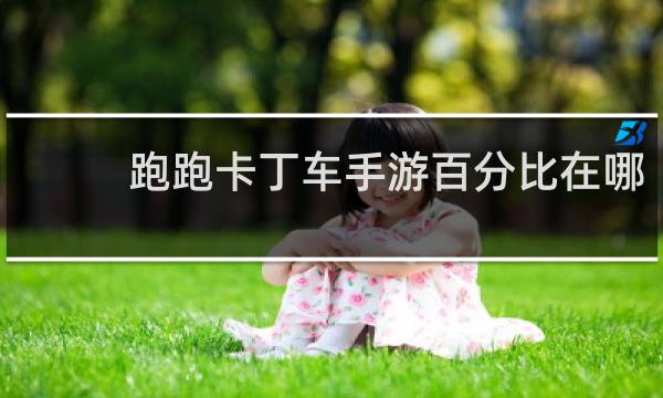 跑跑卡丁车手游百分比在哪