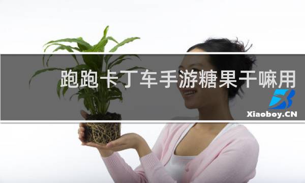 跑跑卡丁车手游糖果干嘛用