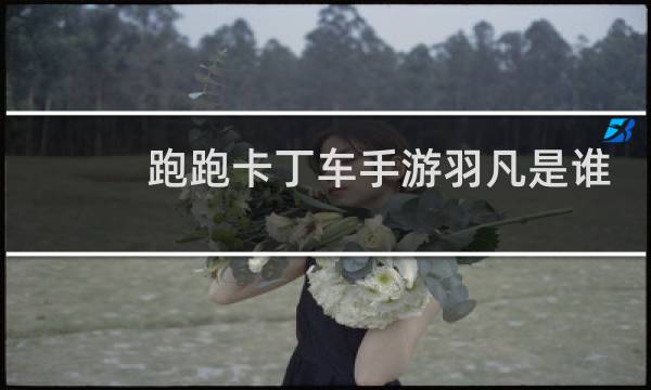 跑跑卡丁车手游羽凡是谁