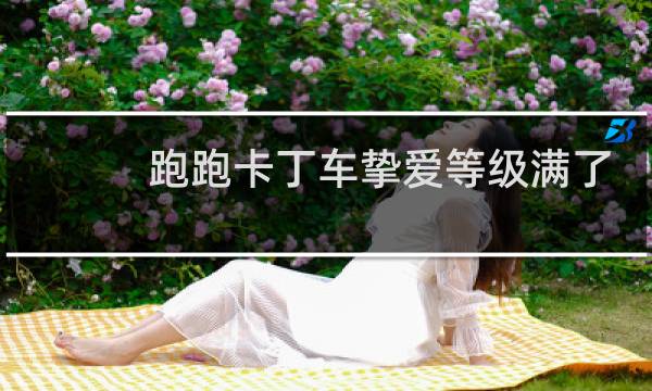 跑跑卡丁车挚爱等级满了