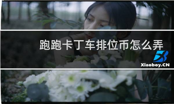 跑跑卡丁车排位币怎么弄