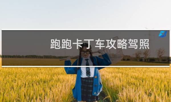 跑跑卡丁车攻略驾照