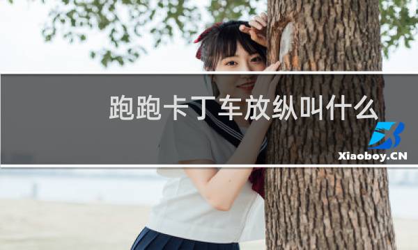 跑跑卡丁车放纵叫什么
