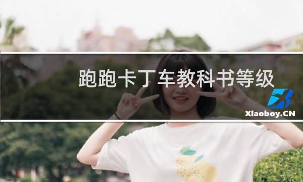 跑跑卡丁车教科书等级