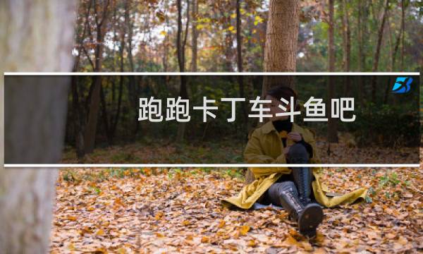 跑跑卡丁车斗鱼吧