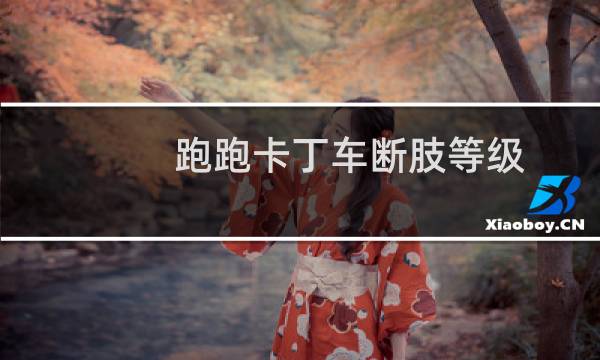 跑跑卡丁车断肢等级