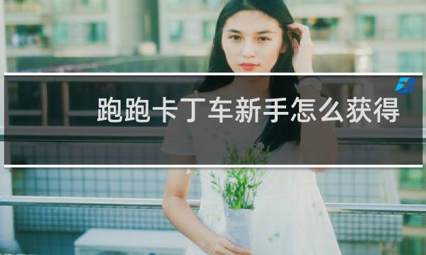 跑跑卡丁车新手怎么获得