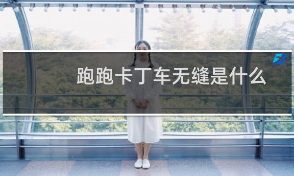 跑跑卡丁车无缝是什么