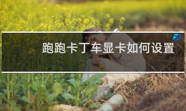 跑跑卡丁车显卡如何设置