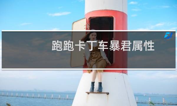 跑跑卡丁车暴君属性