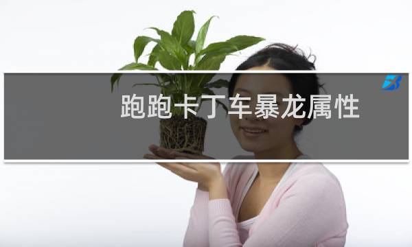 跑跑卡丁车暴龙属性