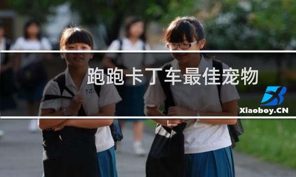 跑跑卡丁车最佳宠物