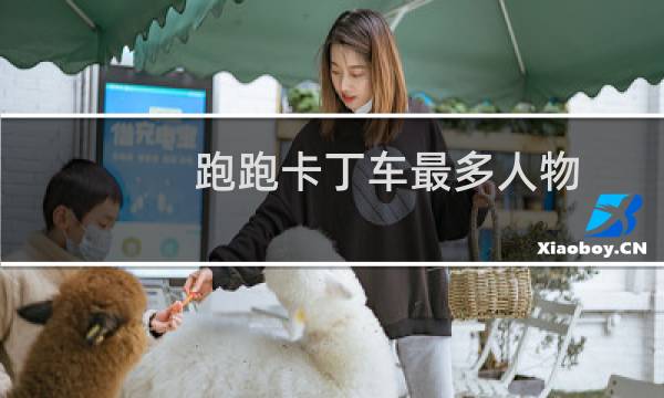 跑跑卡丁车最多人物