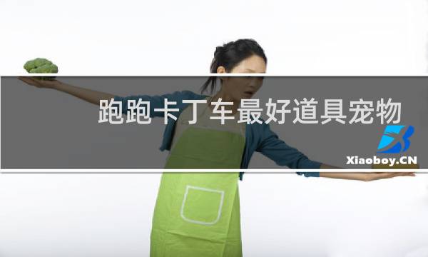 跑跑卡丁车最好道具宠物