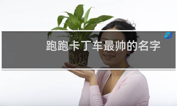 跑跑卡丁车最帅的名字
