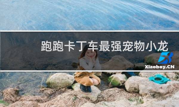 跑跑卡丁车最强宠物小龙