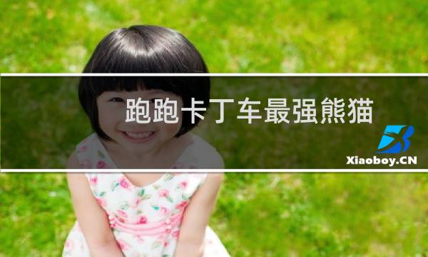 跑跑卡丁车最强熊猫