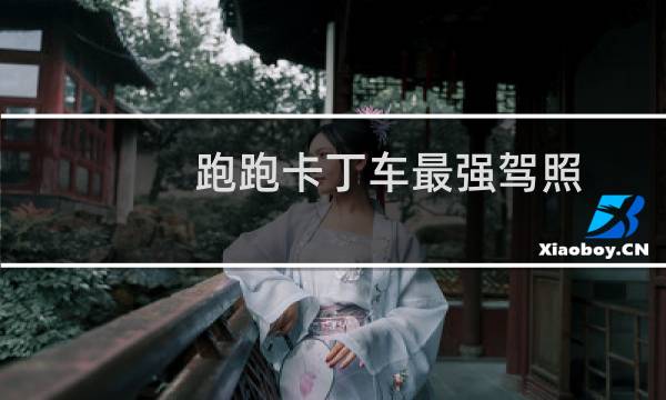 跑跑卡丁车最强驾照