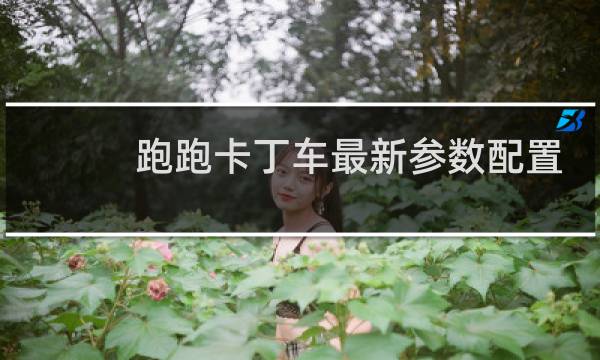 跑跑卡丁车最新参数配置