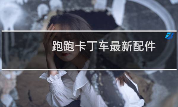 跑跑卡丁车最新配件