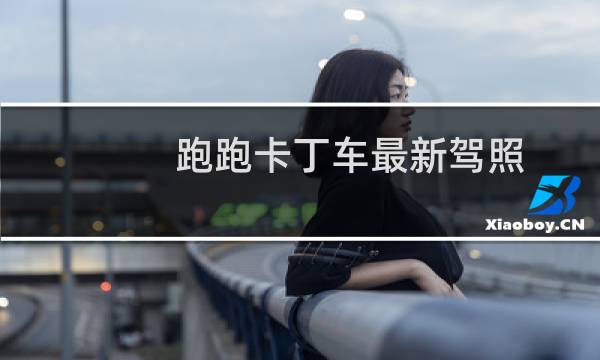 跑跑卡丁车最新驾照